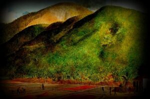 touchard-athanase61280X850